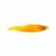 Joe's Golden Muskie Leech