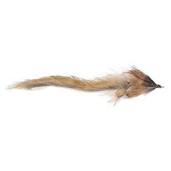 Mouse Tandem Brown