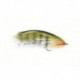 Perch (Bc)