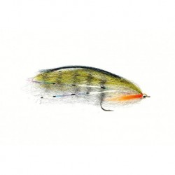 Perch (Bc)