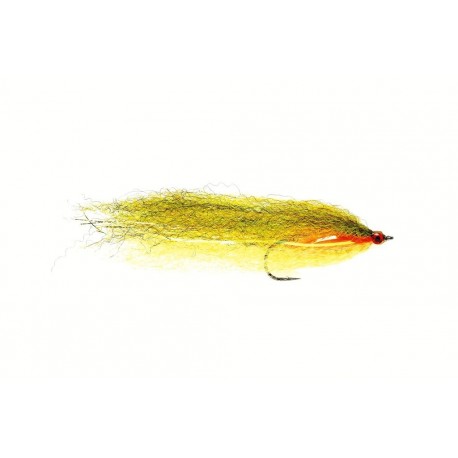 Roach (Bc)