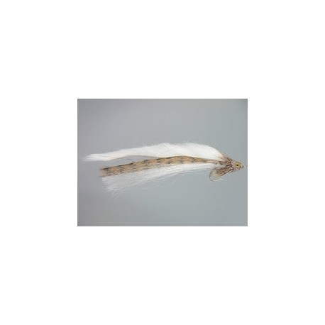 Scazzone Sculpin