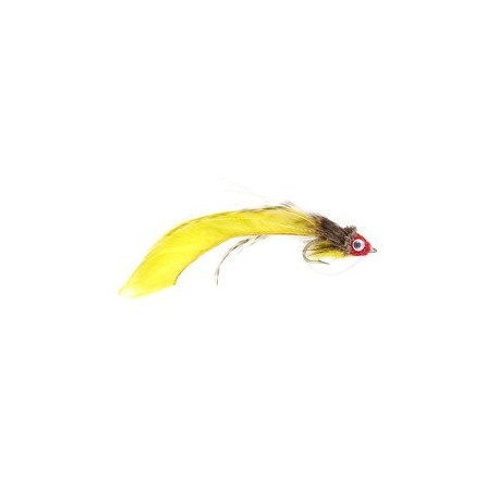 Swimming Baitfisher