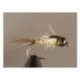 Bh Caddis Pupa