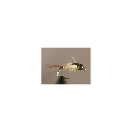 Bh Caddis Pupa