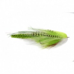 The Roamer Chartreuse & White