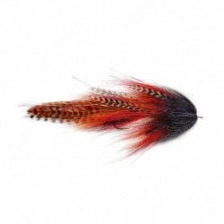 The Roamer Red & Orange