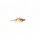 White Bellied Mouse Tan