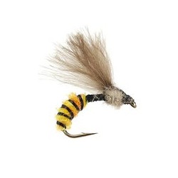 CDC Catching Wasp