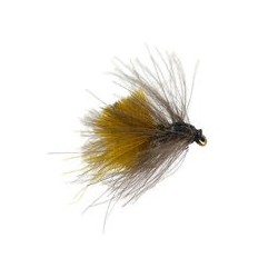CDC Fat Bumblebee Bombo Grosso
