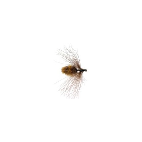 Classic CDC Wasp