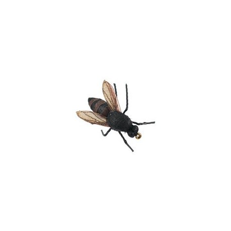 Honey Bee