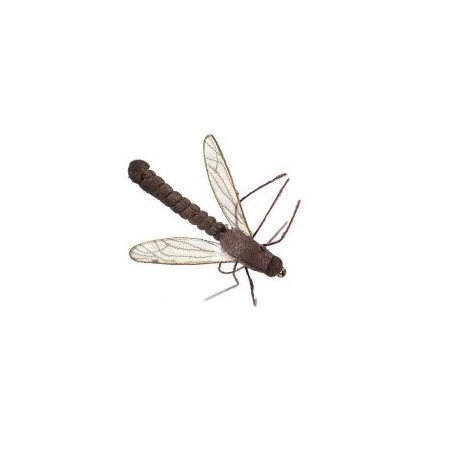 Libellule Zanzaroni Tipule
