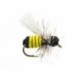 Little Wasp