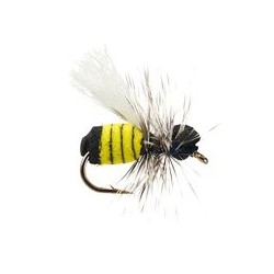 Little Wasp