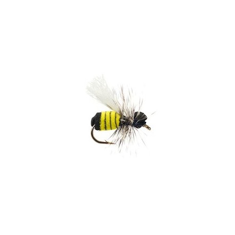 Little Wasp