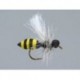 Medium Wasp Hf