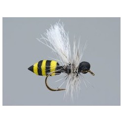 Medium Wasp Hf