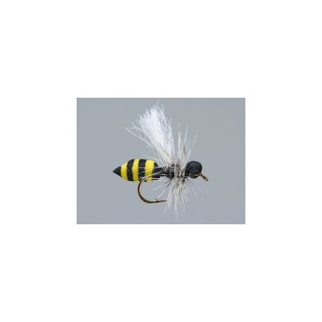 Medium Wasp Hf