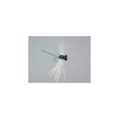 Superb Large Dragonfly Blue