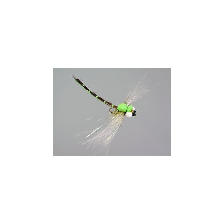 Superb Large Dragonfly Green