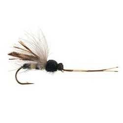 Toms Dangerous Earth Wasp