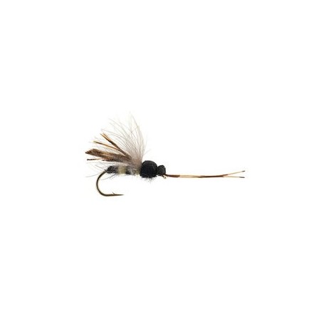 Toms Dangerous Earth Wasp