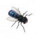 X True Blue Fly