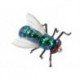 X True Green Fly