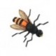 X True Honey Bee Orange