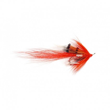 Ally's Shrimp Red