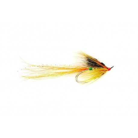 Aurora Shrimp