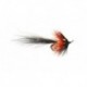 Black Shrimp