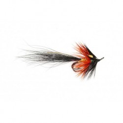 Black Shrimp