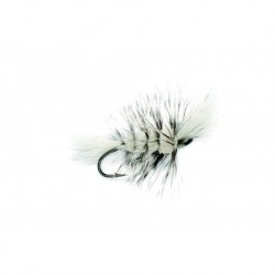 Bomber White