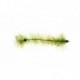 Cactus Worm Olive