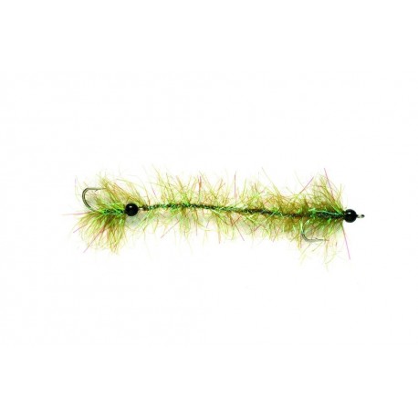 Cactus Worm Olive