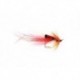 Cally Shrimp