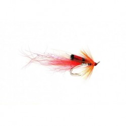Cally Shrimp