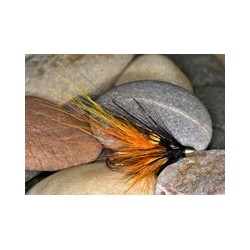 Cascade Pbp Ch