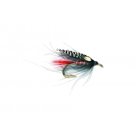 CDC Black Brahan Double