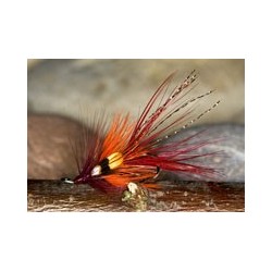 Faughanshrimp