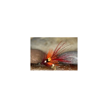 Faughanshrimp