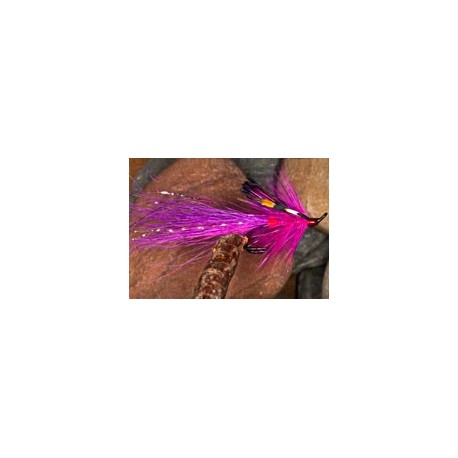 Fraser Shrimp
