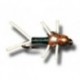 Bh Copper John Green Rubber Legs