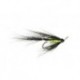 Green Brahan