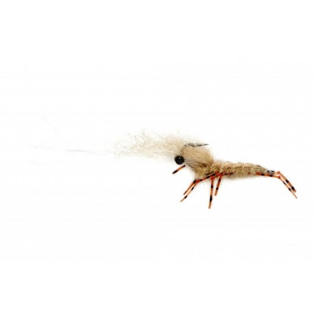 Honey Shrimp