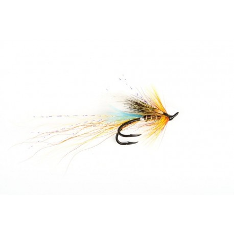 Kazcade Shrimp