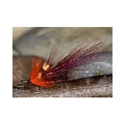 Mccormicksshrimp