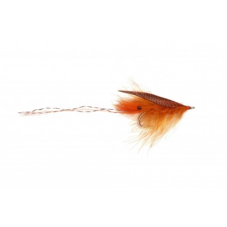 Orange CDC Shrimp